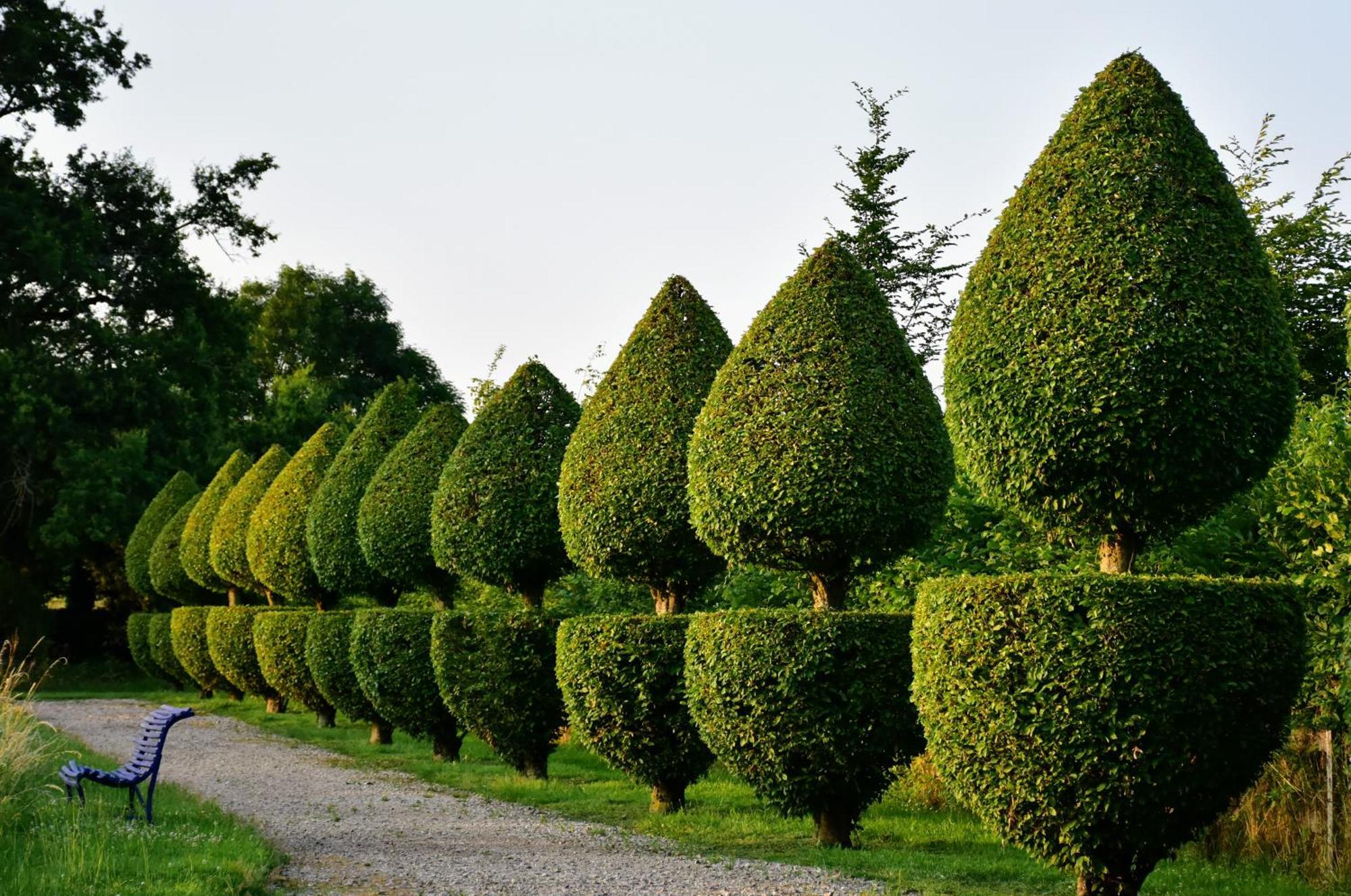 Bed and Breakfast Manoir De Malfarat Charlieu Exterior foto